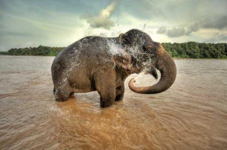 10 вещей, которые каждый должен сделать в Камбодже 10 вещей, которые каждый должен сделать в Камбодже