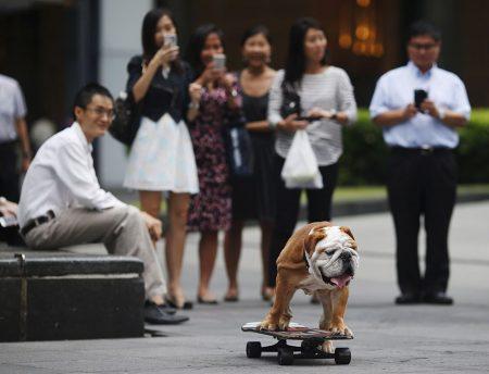 Характер общества Японии: Классификация японцев, часть 2