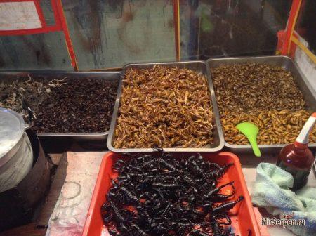 Снова о жареных скорпионах и прочей вкусной гадости Снова о жареных скорпионах и прочей вкусной гадости