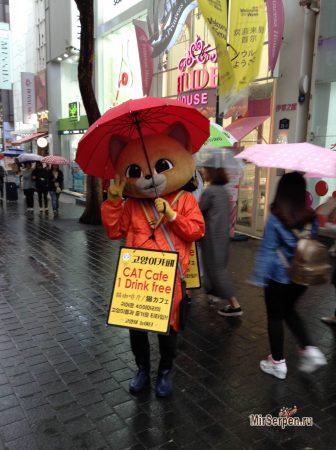 Лучшее время года для посещения Сеула Лучшее время года для посещения Сеула