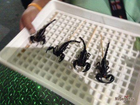 Жареные насекомые на улице Khao San в Бангкоке