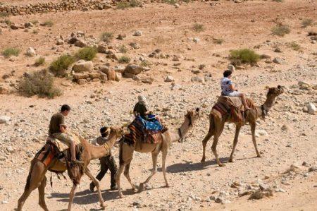 Путешествие с частными гидами