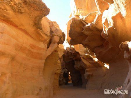 Прикоснуться к прошлому колыбели цивилизаций Прикоснуться к прошлому колыбели цивилизаций