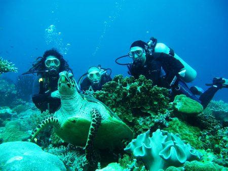 Климат, достопримечательности и развлечения на острове Боракай Климат, достопримечательности и развлечения на острове Боракай