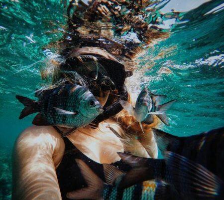 Дайвинг в Таиланде Дайвинг в Таиланде