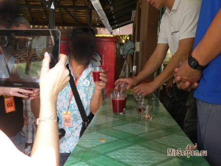 Выпить кровь змеи в Таиланде