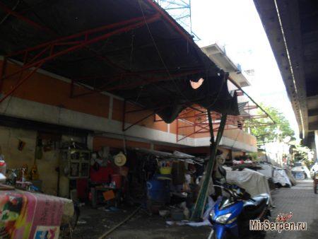 Нетуристический Бангкок: жизнь под хайвеем Нетуристический Бангкок: жизнь под хайвеем