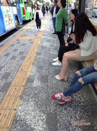 Корейская жизнь с мобильником в руках