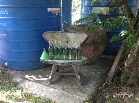 Тайские заправки для мотобайков Тайские заправки для мотобайков