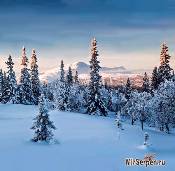 Зимний отдых в сказочной Финляндии Зимний отдых в сказочной Финляндии