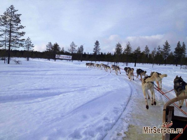 Зимний отдых в сказочной Финляндии Зимний отдых в сказочной Финляндии