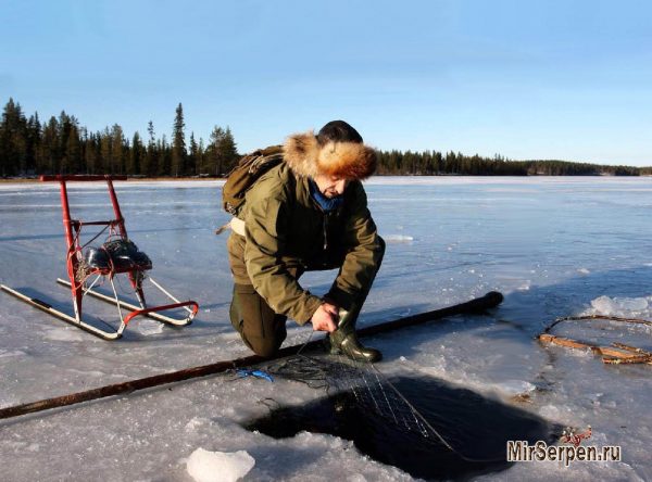 Зимний отдых в сказочной Финляндии Зимний отдых в сказочной Финляндии