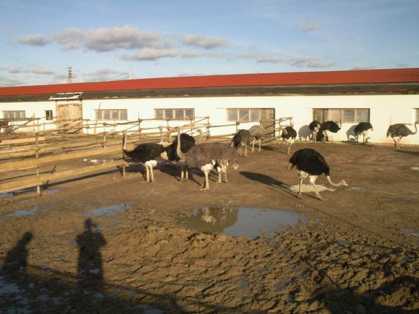 5 уникальных мест Подмосковья, куда можно съездить на выходных