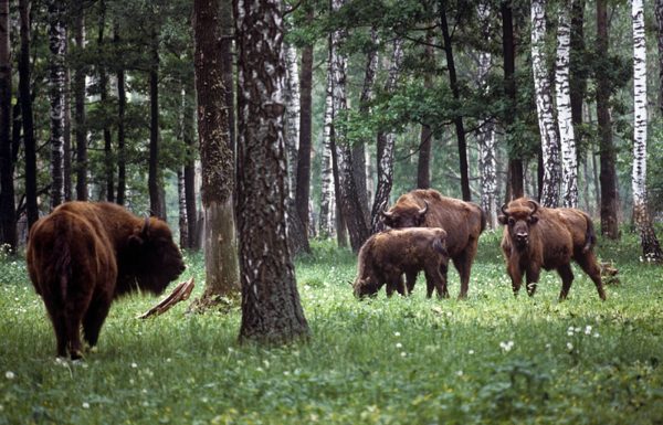 5 уникальных мест Подмосковья, куда можно съездить на выходных