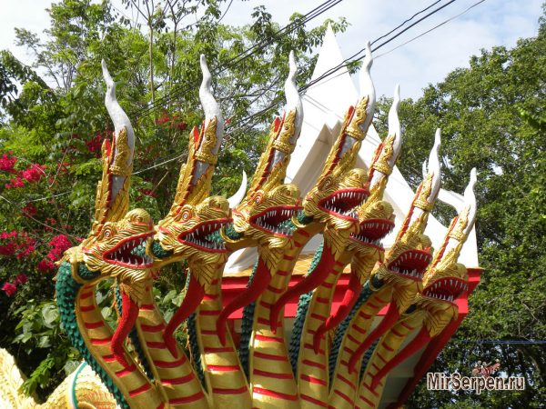 Встречаем тайцев не в Таиланде и парой слов делаем мир светлее
