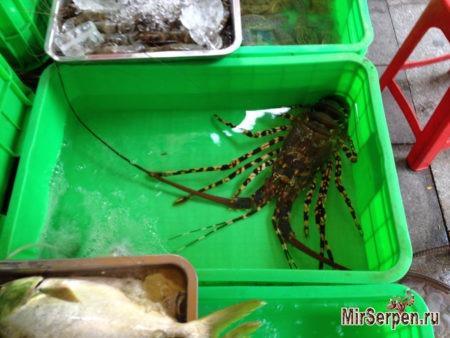 Знакомство с морской кухней в азиатских сифудах Знакомство с морской кухней в азиатских сифудах