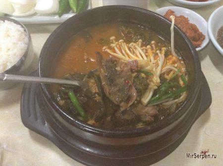 Кухня Южной Кореи: Мифы про вкусных собачек